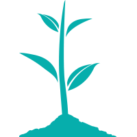 Plant A Tree Plant A Tree
